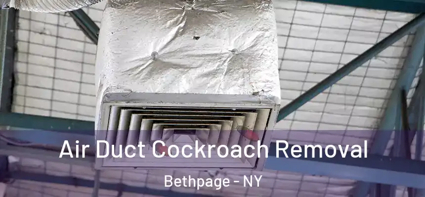  Air Duct Cockroach Removal Bethpage - NY