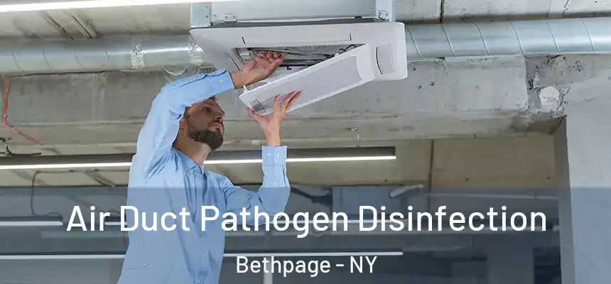  Air Duct Pathogen Disinfection Bethpage - NY