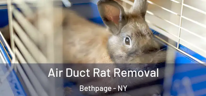  Air Duct Rat Removal Bethpage - NY