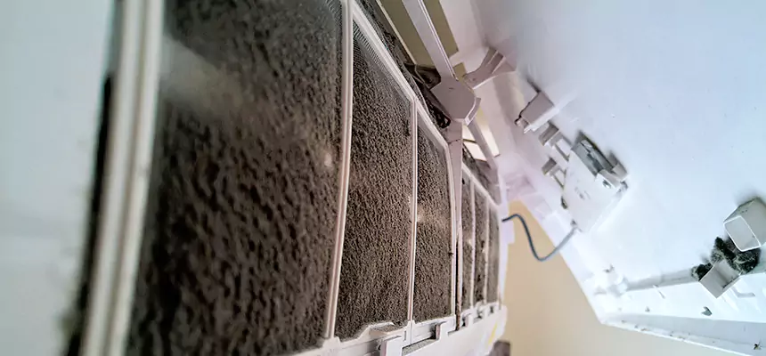 Preventive Air Duct Bacteria Removal in Bethpage