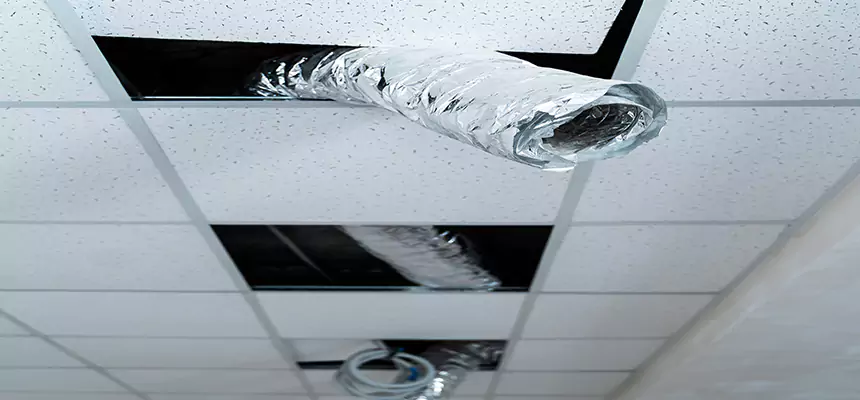 Affordable HVAC Sanitizing After Pest Removal in Bethpage