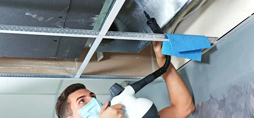 Our Air Duct Rodent Removal Services in Bethpage, NY