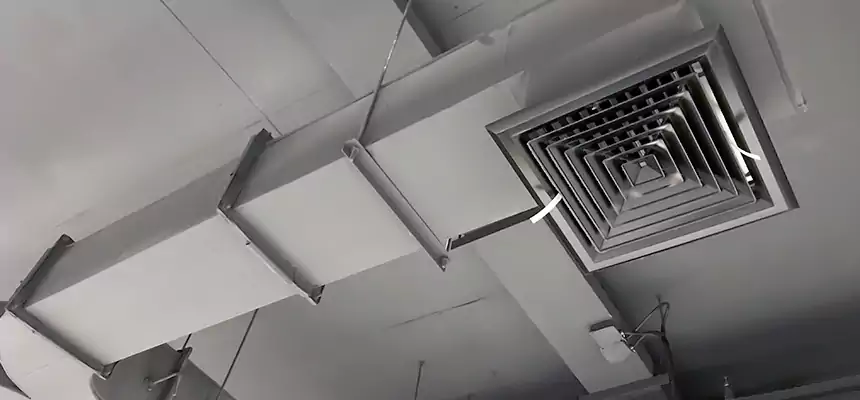 Restorative Allergy Relief Vent Cleaning – Coil, Blower & Housing Detail in Bethpage