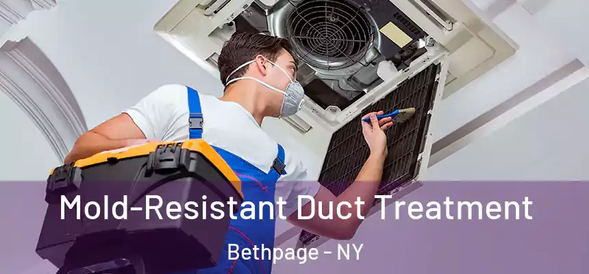 Mold-Resistant Duct Treatment Bethpage - NY