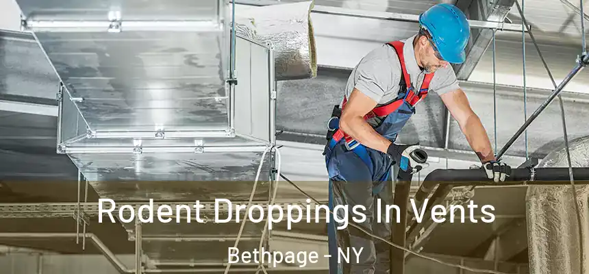  Rodent Droppings In Vents Bethpage - NY