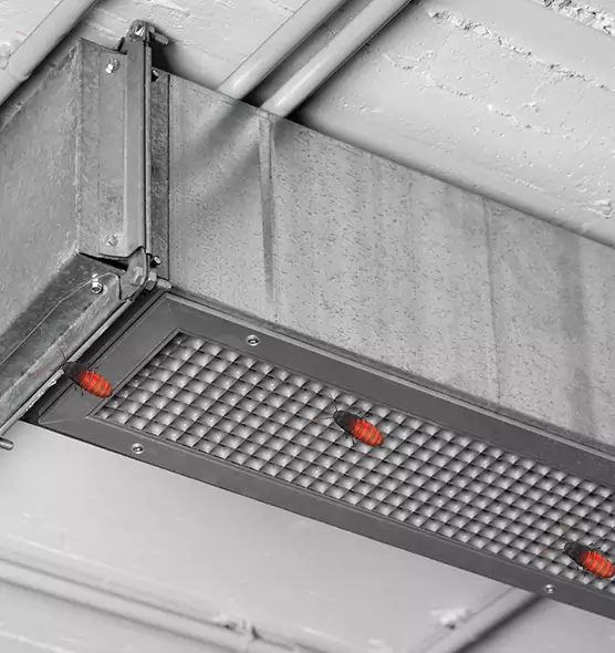 About Air Duct Cockroach Removal in Bethpage, NY