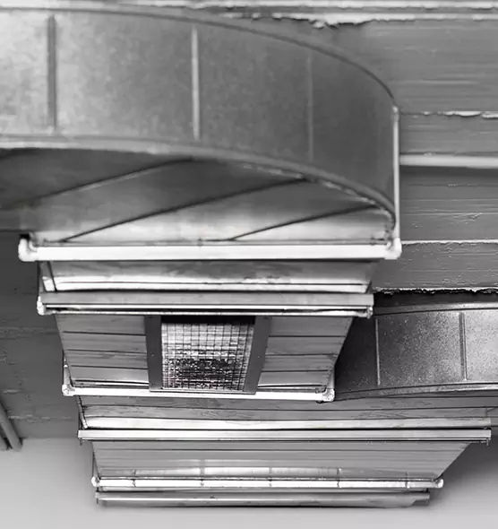 Professional Air Duct Pet Hair Removal in Bethpage, NY