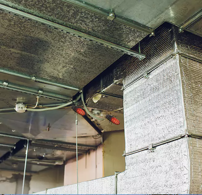 Why Homeowners & Businesses Trust Us in Bethpage, NY?