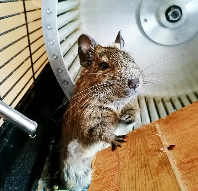 Why Homeowners & Businesses Trust Us Bethpage, NY?