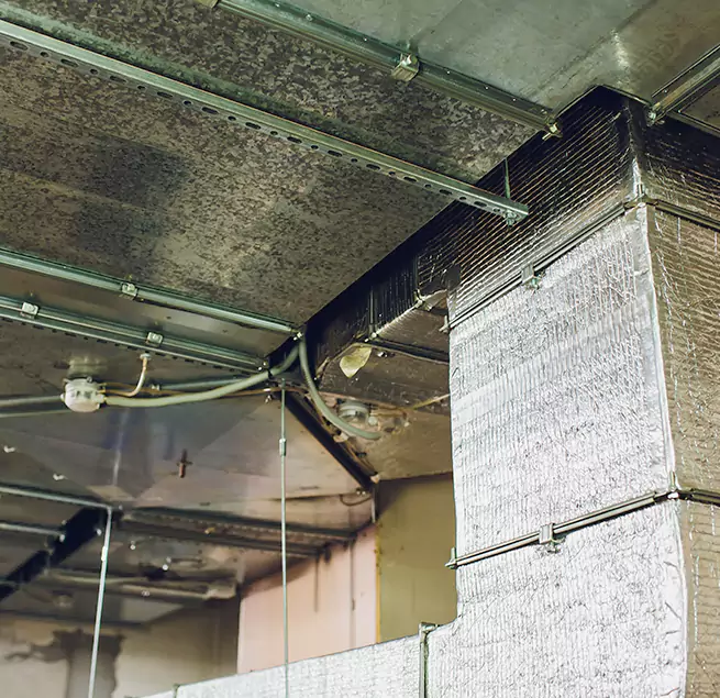 Why Homeowners & Businesses Trust Us in Bethpage, NY?